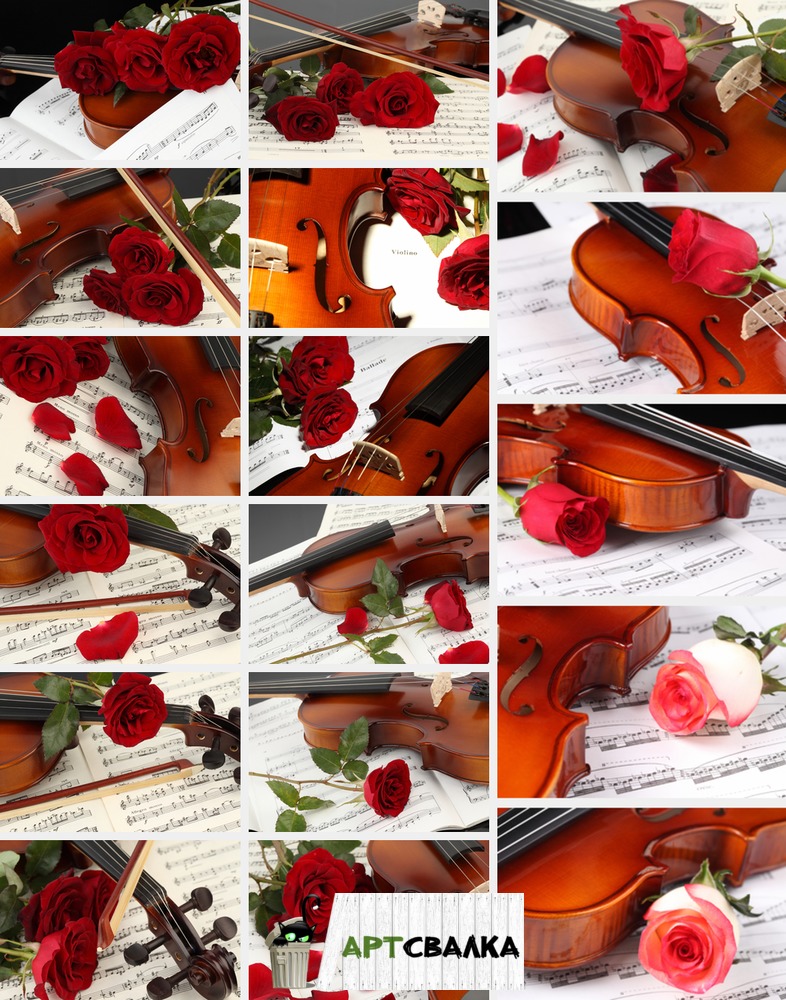 Скрипка и красная роза. | Violin and red rose.